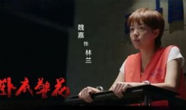 高亚麟被爆料视频,揭秘娱乐圈背后真相