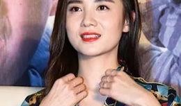 宋佳恋情爆料视频大全,视频大全揭秘明星情感世界