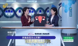 营口电视台爆料新闻视频,新闻事件深度解析