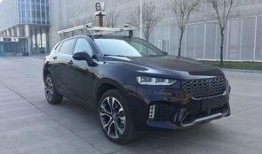 新长城最新爆料,揭秘行业最新动态与趋势