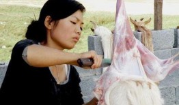 宰羊少女爆料视频,震撼视频曝光惊人真相