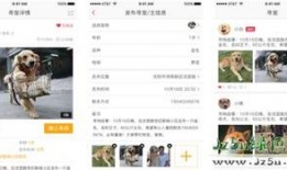 爱宠在线观看完整版,萌宠奇遇记