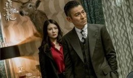 追龙免费在线观看,巅峰对决，免费在线观影盛宴