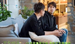 天涯爆料朱桢视频大全,朱桢视频大全揭秘，精彩瞬间一网打尽