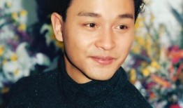 张国荣微醺爆料视频播放,揭秘巨星不为人知的真实一面