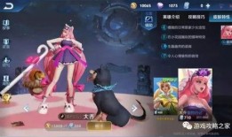 大乔设计皮肤爆料视频下载