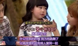 网友爆料爱豆视频大全最新,爱豆视频大全，精彩瞬间一网打尽！