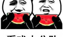 娱乐吃瓜表情图片大全,带你领略网络搞笑瞬间