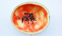 网红吃瓜勺子图片真实大全,趣味横生的美食潮流