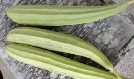 专业娱乐吃瓜,揭秘明星幕后那些事儿