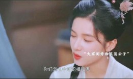 四叔四婶爆料视频,家庭琐事背后的惊人真相