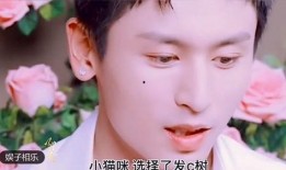 户外头哥被爆料视频大全,真实事件背后的惊人真相