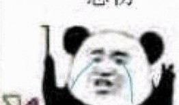 贾先生最新爆料,揭秘娱乐圈惊天秘密！