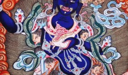 《忿怒》在线观看