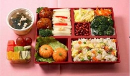 爆料高科技食物视频下载,高科技食物视频下载背后的秘密