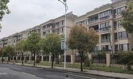 绍兴越城爆料事件最新,揭秘背后真相与网络舆论风暴