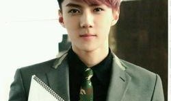 exo和世勋最新爆料,独家幕后故事与未来展望