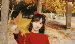 新闻大爆料吕小雨视频