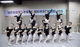 舞蹈老师视频爆料网站,舞林秘闻大公开