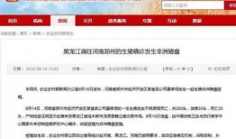 八村最新爆料消息今天新闻,揭秘今日热点新闻背后的真相！”