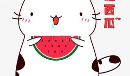 娱乐吃瓜表情图片大全,带你领略网络搞笑瞬间