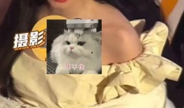 马思纯爆料肖战素人视频,真实生活引发网友热议