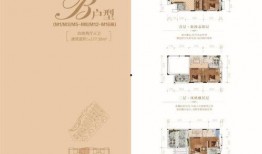 惠州头条今日爆料,重大事件引发社会关注！