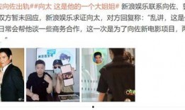 向太爆料完整版视频,完整版视频背后的惊人内幕