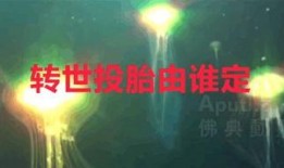 投胎人在线观看,穿越轮回，揭秘生死之谜