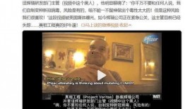 真相工程爆料视频,视频揭秘事件背后惊人内幕