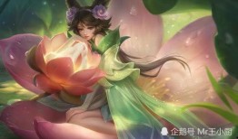 皮肤爆料嫦娥图片大全视频,高清皮肤图片大全，带你领略月宫仙子的绝世风华