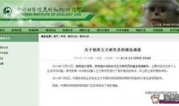 二狗爆料谢航视频播放在线观看,谢航视频在线观看，揭秘幕后真相