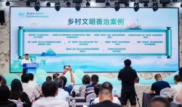 爆料浙江乡村振兴视频,视频揭秘美丽乡村新面貌