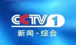 营口电视台爆料新闻视频,新闻事件深度解析