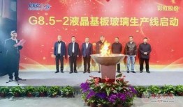 揭阳彩虹网爆料新闻最新,揭秘某重大事件背后真相