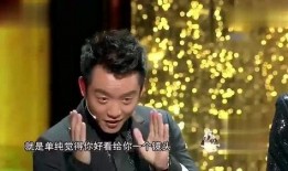 郑凯爆料贾乃亮视频大全,视频大全揭秘不为人知的一面