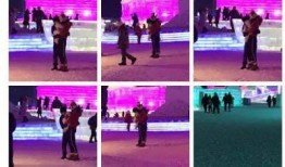 最新哈尔滨爆料,揭秘城市新动态与热点事件