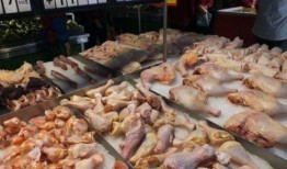 速冻鸡腿爆料怎么做的视频,视频揭秘美味家常菜