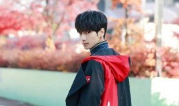 罗云熙娱乐爆料,揭秘明星幕后故事