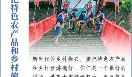 爆料浙江乡村振兴视频,视频揭秘美丽乡村新面貌