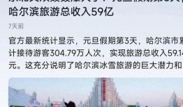 最新哈尔滨爆料,揭秘城市新动态与热点事件