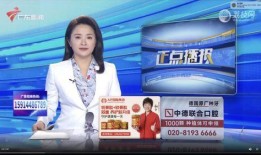 广东新闻直播在线观看