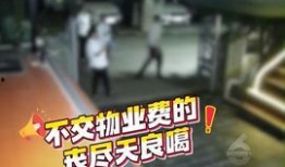 巴中爆料热点新闻视频