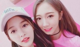 假装女星爆料视频大全最新,假装女星爆料视频大全幕后真相大揭秘