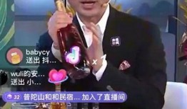 山东生活在线直播观看,全景式体验齐鲁大地风土人情