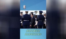 爆料日本首相视频播放网站,独家爆料网站深度解析