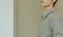 肖战最近娱乐圈爆料,揭秘背后真相与影响