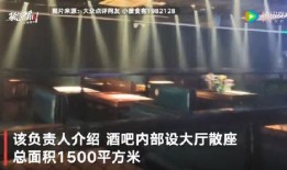 天堂酒吧爆料视频大全,视频大全揭秘幕后真相