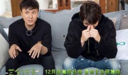 天涯爆料朱桢视频大全,朱桢视频大全揭秘，精彩瞬间一网打尽