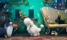 爱宠在线观看完整版,萌宠奇遇记